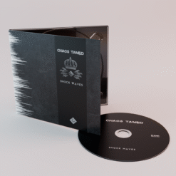 Chaos Tamed - Shock Waves