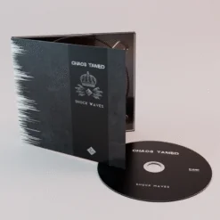 Chaos Tamed - Shock Waves